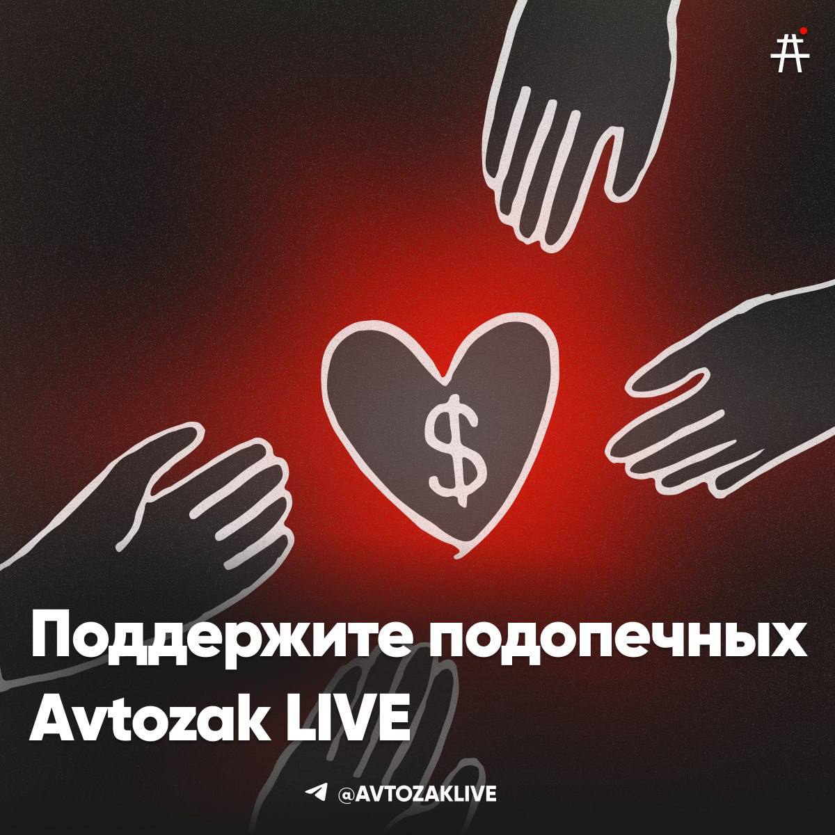 Передачки для подопечных Avtozak LIVE